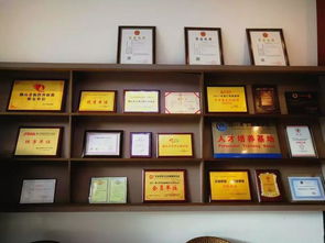 中越股份 企業(yè)一站式服務(wù)專(zhuān)家，引領(lǐng)計(jì)算機(jī)信息化時(shí)代